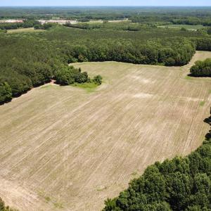 Photo #20 of SOLD property in Off Meherrin Rd, Courtland, VA 115.0 acres