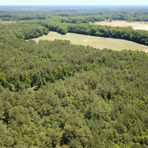 Photo #23 of SOLD property in Off Meherrin Rd, Courtland, VA 115.0 acres