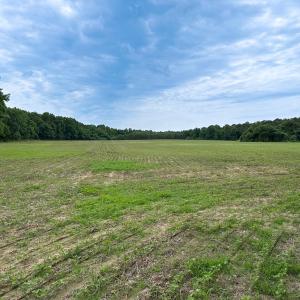 Photo #24 of SOLD property in Off Meherrin Rd, Courtland, VA 115.0 acres