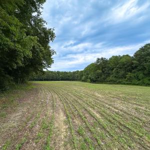 Photo #28 of SOLD property in Off Meherrin Rd, Courtland, VA 115.0 acres