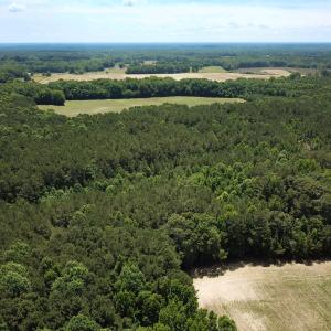 Photo #29 of SOLD property in Off Meherrin Rd, Courtland, VA 115.0 acres