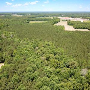 Photo #32 of SOLD property in Off Meherrin Rd, Courtland, VA 115.0 acres