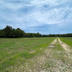 Photo #34 of SOLD property in Off Meherrin Rd, Courtland, VA 115.0 acres