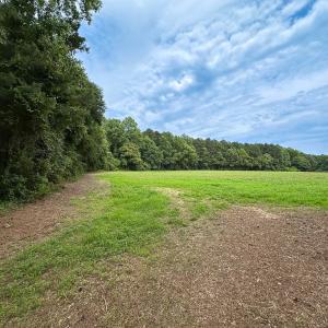 Photo #39 of SOLD property in Off Meherrin Rd, Courtland, VA 115.0 acres