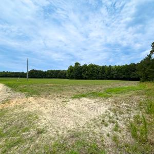 Photo #40 of SOLD property in Off Meherrin Rd, Courtland, VA 115.0 acres