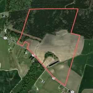 Photo #1 of SOLD property in Off Highway 903, Snow Hill, NC 116.0 acres