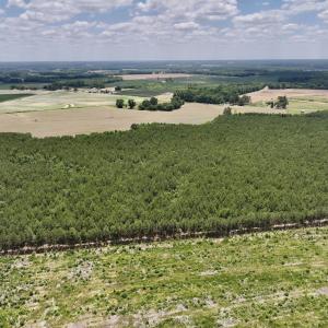 Photo #9 of SOLD property in Off Highway 903, Snow Hill, NC 116.0 acres