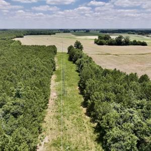 Photo #12 of SOLD property in Off Highway 903, Snow Hill, NC 116.0 acres