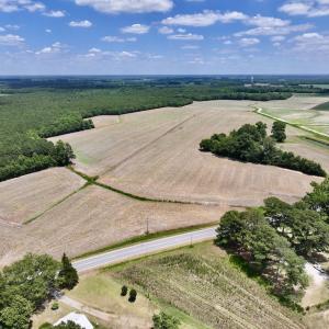 Photo #14 of SOLD property in Off Highway 903, Snow Hill, NC 116.0 acres