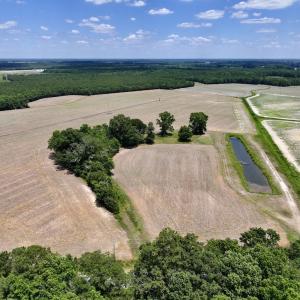 Photo #15 of SOLD property in Off Highway 903, Snow Hill, NC 116.0 acres