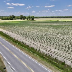 Photo #16 of SOLD property in Off Highway 903, Snow Hill, NC 116.0 acres