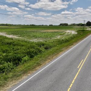 Photo #18 of SOLD property in Off Highway 903, Snow Hill, NC 116.0 acres