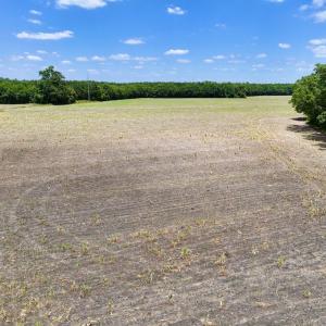 Photo #19 of SOLD property in Off Highway 903, Snow Hill, NC 116.0 acres