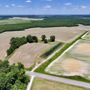 Photo #2 of SOLD property in Off Highway 903, Snow Hill, NC 116.0 acres