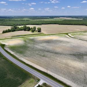 Photo #3 of SOLD property in Off Highway 903, Snow Hill, NC 116.0 acres
