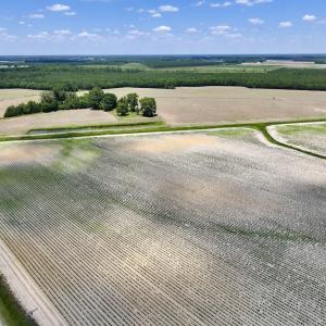 Photo #4 of SOLD property in Off Highway 903, Snow Hill, NC 116.0 acres
