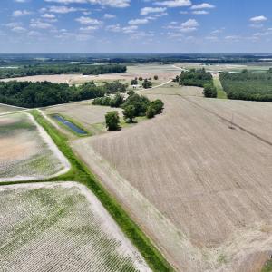 Photo #6 of SOLD property in Off Highway 903, Snow Hill, NC 116.0 acres