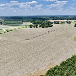Photo #7 of SOLD property in Off Highway 903, Snow Hill, NC 116.0 acres