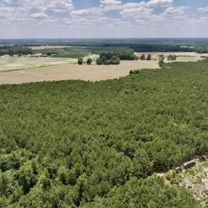 Photo #8 of SOLD property in Off Highway 903, Snow Hill, NC 116.0 acres