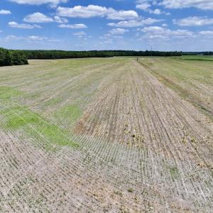 Photo #21 of SOLD property in Off Highway 903, Snow Hill, NC 116.0 acres
