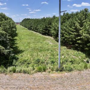 Photo #22 of SOLD property in Off Highway 903, Snow Hill, NC 116.0 acres