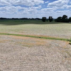 Photo #24 of SOLD property in Off Highway 903, Snow Hill, NC 116.0 acres