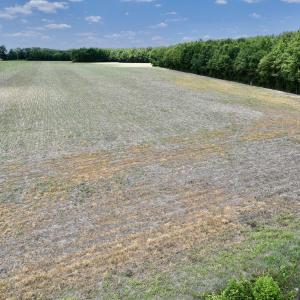 Photo #27 of SOLD property in Off Highway 903, Snow Hill, NC 116.0 acres