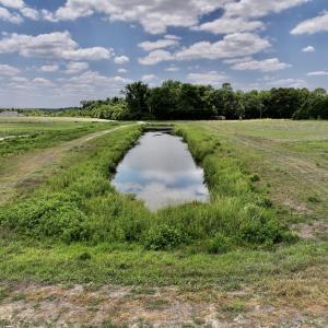 Photo #29 of SOLD property in Off Highway 903, Snow Hill, NC 116.0 acres