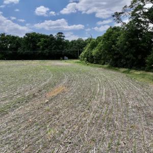 Photo #34 of SOLD property in Off Highway 903, Snow Hill, NC 116.0 acres