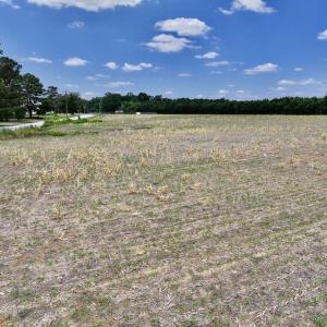 Photo #35 of SOLD property in Off Highway 903, Snow Hill, NC 116.0 acres