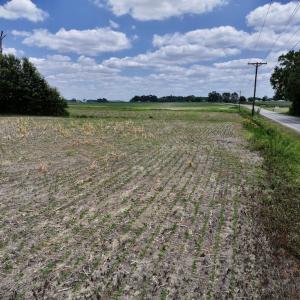Photo #37 of SOLD property in Off Highway 903, Snow Hill, NC 116.0 acres