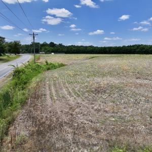 Photo #38 of SOLD property in Off Highway 903, Snow Hill, NC 116.0 acres