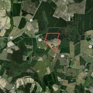 Photo #39 of SOLD property in Off Highway 903, Snow Hill, NC 116.0 acres