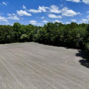 Photo #11 of SOLD property in 1125 Cupela Rd, Walstonburg, NC 38.0 acres