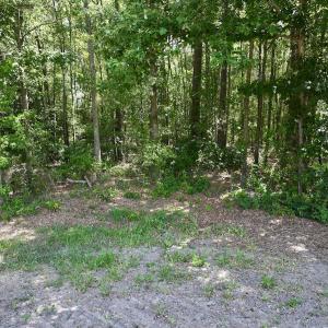 Photo #12 of SOLD property in 1125 Cupela Rd, Walstonburg, NC 38.0 acres