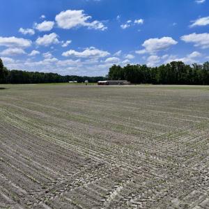 Photo #13 of SOLD property in 1125 Cupela Rd, Walstonburg, NC 38.0 acres
