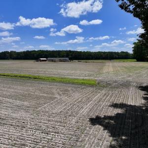 Photo #14 of SOLD property in 1125 Cupela Rd, Walstonburg, NC 38.0 acres