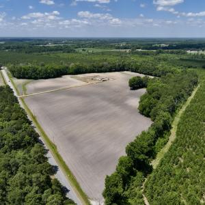Photo #2 of SOLD property in 1125 Cupela Rd, Walstonburg, NC 38.0 acres
