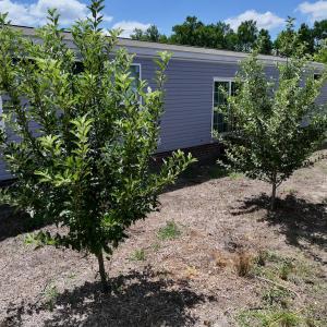 Photo #20 of SOLD property in 1125 Cupela Rd, Walstonburg, NC 38.0 acres