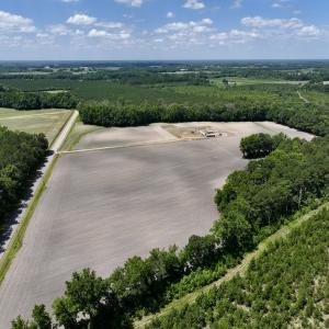 Photo #4 of SOLD property in 1125 Cupela Rd, Walstonburg, NC 38.0 acres