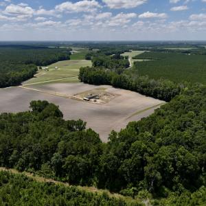 Photo #5 of SOLD property in 1125 Cupela Rd, Walstonburg, NC 38.0 acres