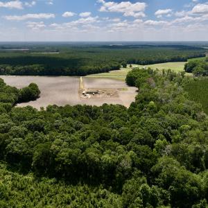 Photo #6 of SOLD property in 1125 Cupela Rd, Walstonburg, NC 38.0 acres