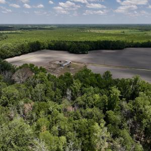 Photo #8 of SOLD property in 1125 Cupela Rd, Walstonburg, NC 38.0 acres