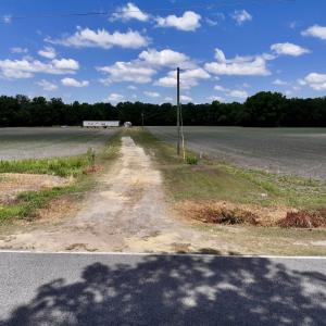 Photo #25 of SOLD property in 1125 Cupela Rd, Walstonburg, NC 38.0 acres
