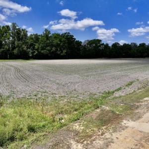 Photo #27 of SOLD property in 1125 Cupela Rd, Walstonburg, NC 38.0 acres