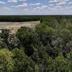 Photo #28 of SOLD property in 1125 Cupela Rd, Walstonburg, NC 38.0 acres