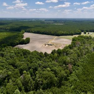 Photo #30 of SOLD property in 1125 Cupela Rd, Walstonburg, NC 38.0 acres