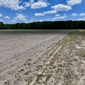 Photo #31 of SOLD property in 1125 Cupela Rd, Walstonburg, NC 38.0 acres