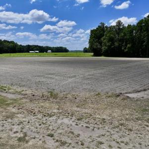Photo #33 of SOLD property in 1125 Cupela Rd, Walstonburg, NC 38.0 acres