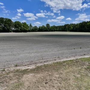 Photo #34 of SOLD property in 1125 Cupela Rd, Walstonburg, NC 38.0 acres